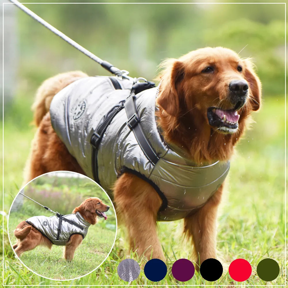 Pet Dog Jacket With Harness